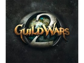 Guild Wars 2: The details of the cooperative component